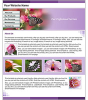 web-design