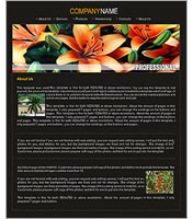web-design